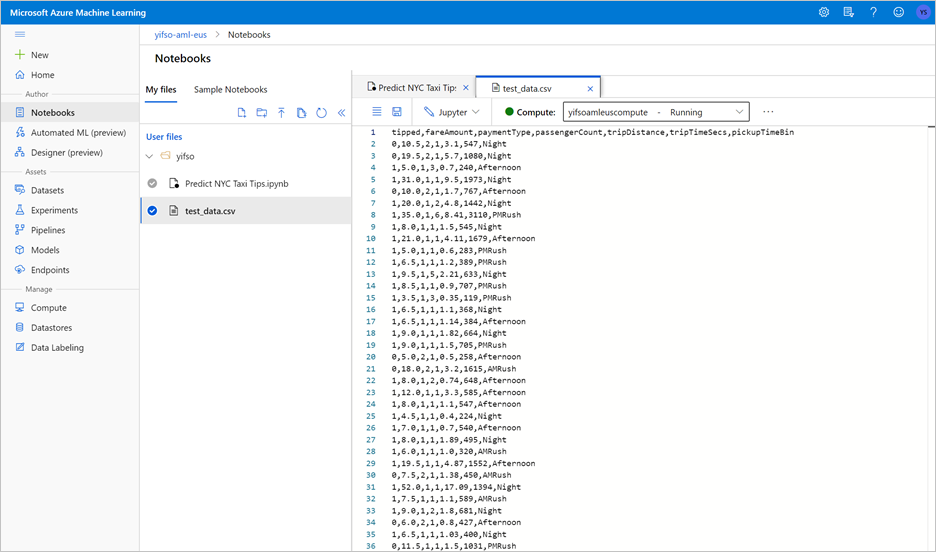 Screenshot der C S V-Datei.