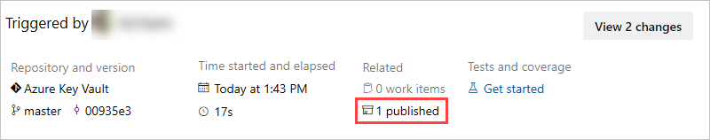 Screenshot that shows the published artifact in the summary tab.