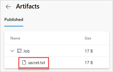 Screenshot that shows how to download the published artifact.