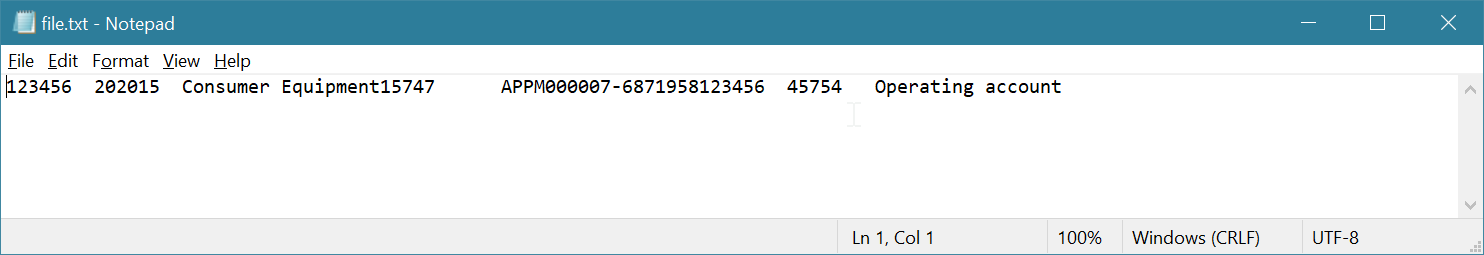 Screenshot of the payment file in TXT format.