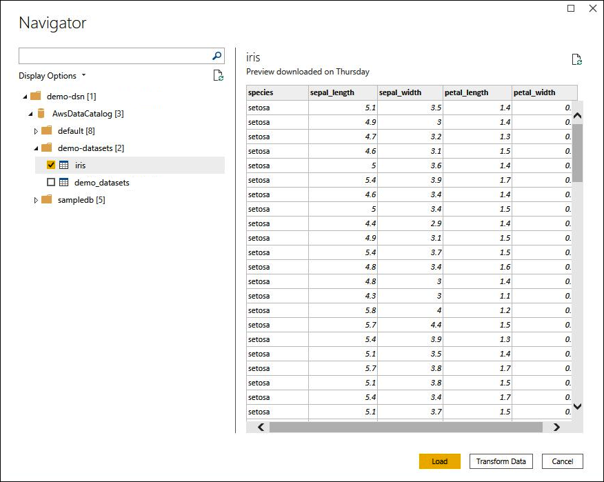 Screenshot of the Navigator dialog that shows your data.
