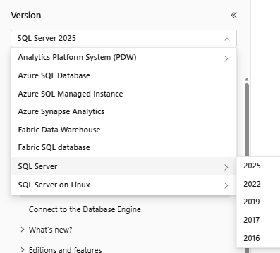 Screenshot showing the SQL Docs version filter.