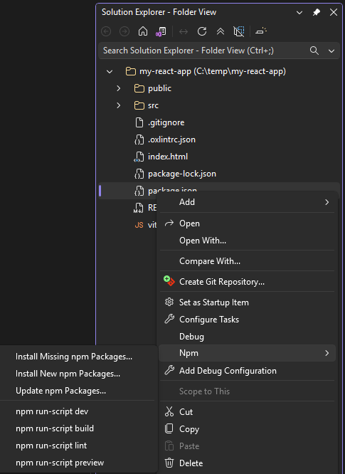 npm menu in Solution Explorer
