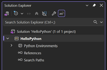 Capture d’écran montrant le projet Web Python nouvellement créé dans l’Explorateur de solutions.