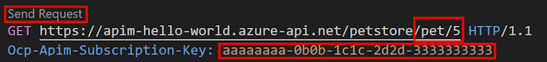 Screenshot dell'invio di una richiesta API da Visual Studio Code.