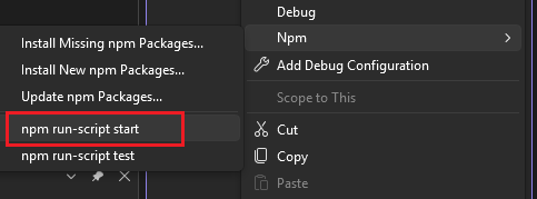Een startscript uitvoeren vanuit het npm-menu