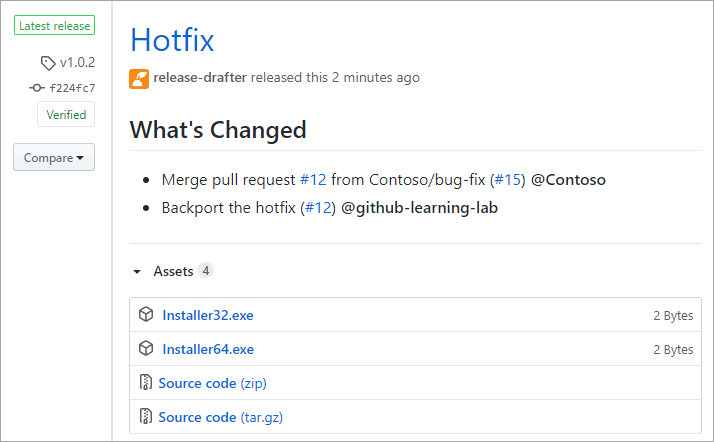 Skärmbild av en GitHub-release.